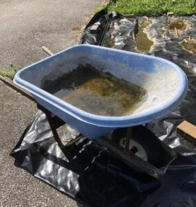 Eliminate Standing Water on Your Homestead and in Your Backyard Image